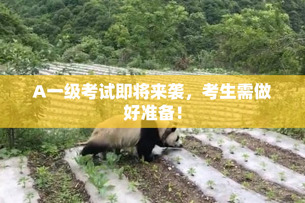 A一级考试即将来袭，考生需做好准备！