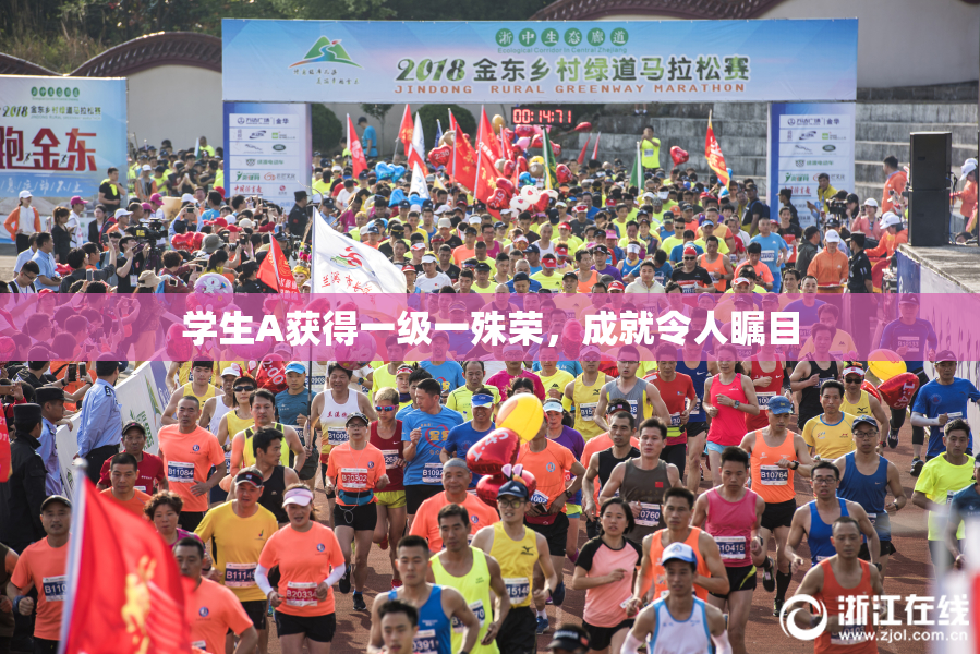 学生A获得一级一殊荣，成就令人瞩目
