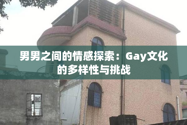 男男之间的情感探索：Gay文化的多样性与挑战