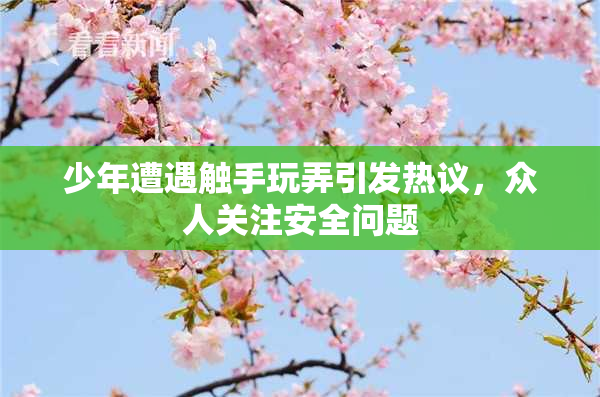 少年遭遇触手玩弄引发热议，众人关注安全问题