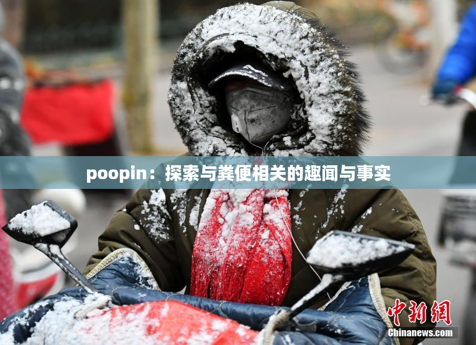 poopin：探索与粪便相关的趣闻与事实