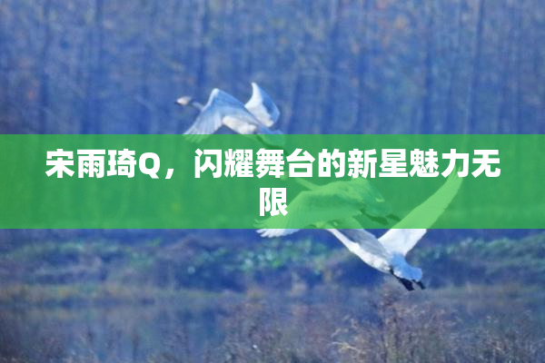宋雨琦Q，闪耀舞台的新星魅力无限