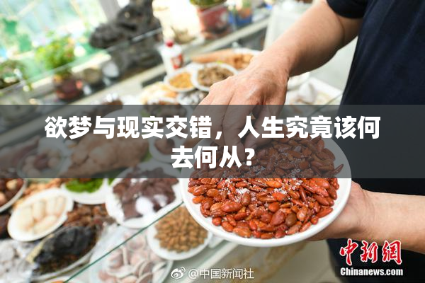 欲梦与现实交错，人生究竟该何去何从？