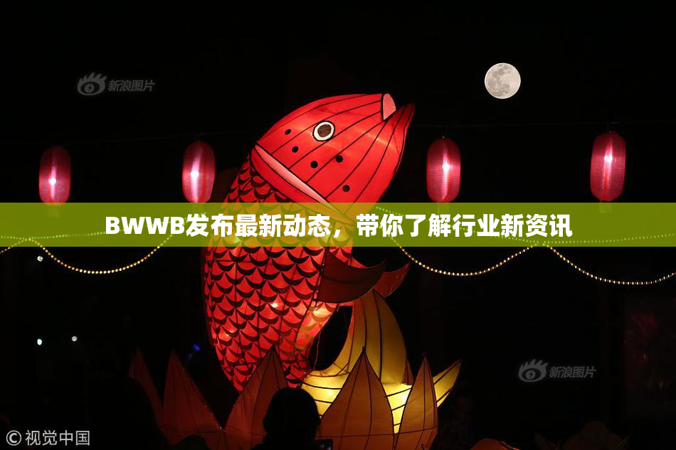 BWWB发布最新动态，带你了解行业新资讯