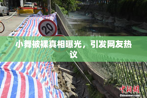小舞被裸真相曝光，引发网友热议