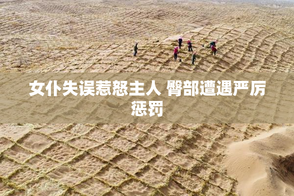 女仆失误惹怒主人 臀部遭遇严厉惩罚