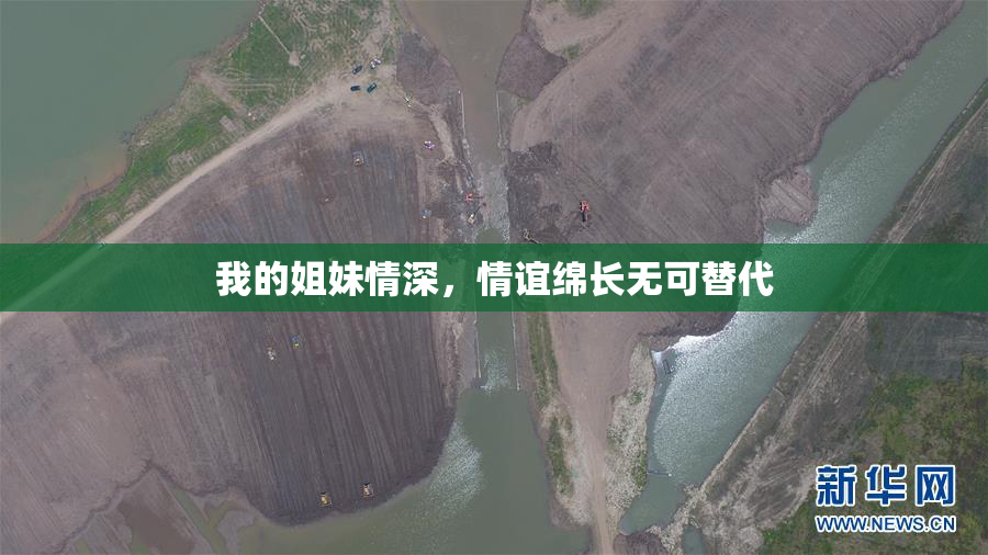 我的姐妹情深，情谊绵长无可替代