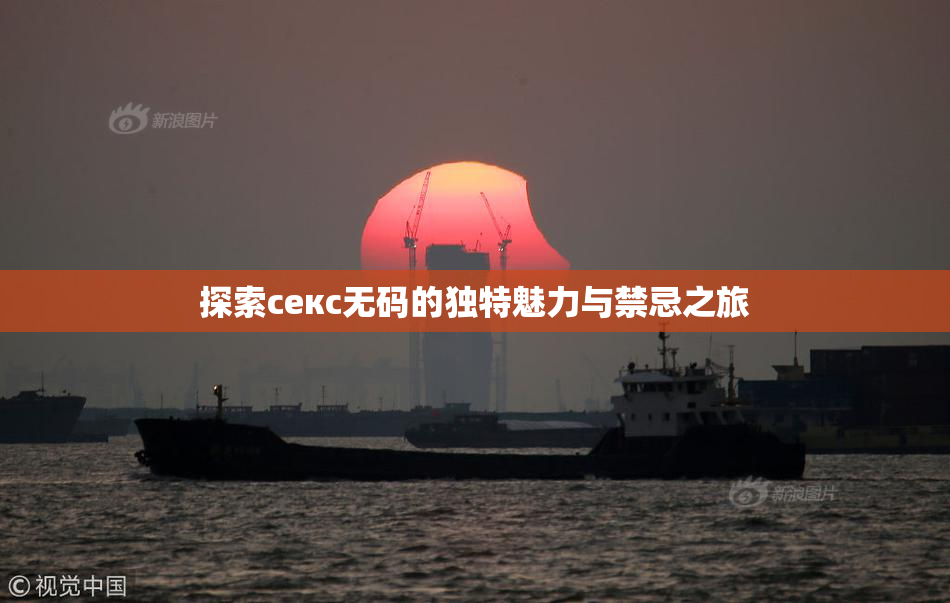 探索секс无码的独特魅力与禁忌之旅