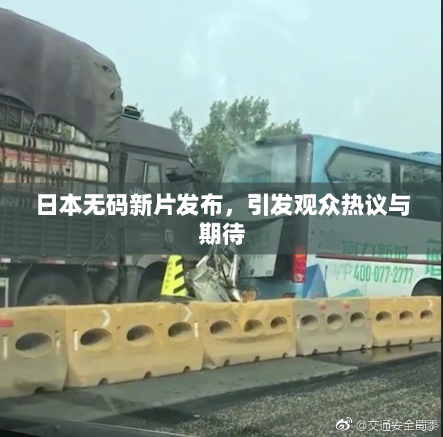 日本无码新片发布，引发观众热议与期待