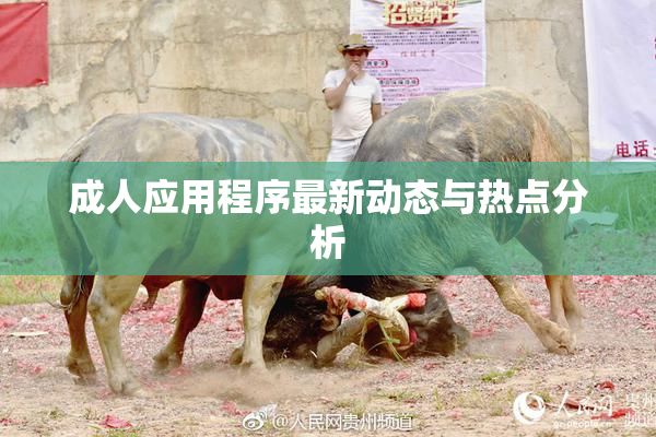 成人应用程序最新动态与热点分析