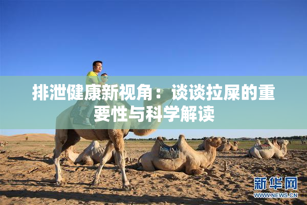 排泄健康新视角：谈谈拉屎的重要性与科学解读