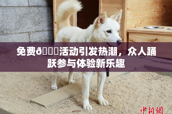 免费🔞活动引发热潮，众人踊跃参与体验新乐趣