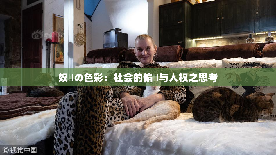 奴隷の色彩：社会的偏見与人权之思考