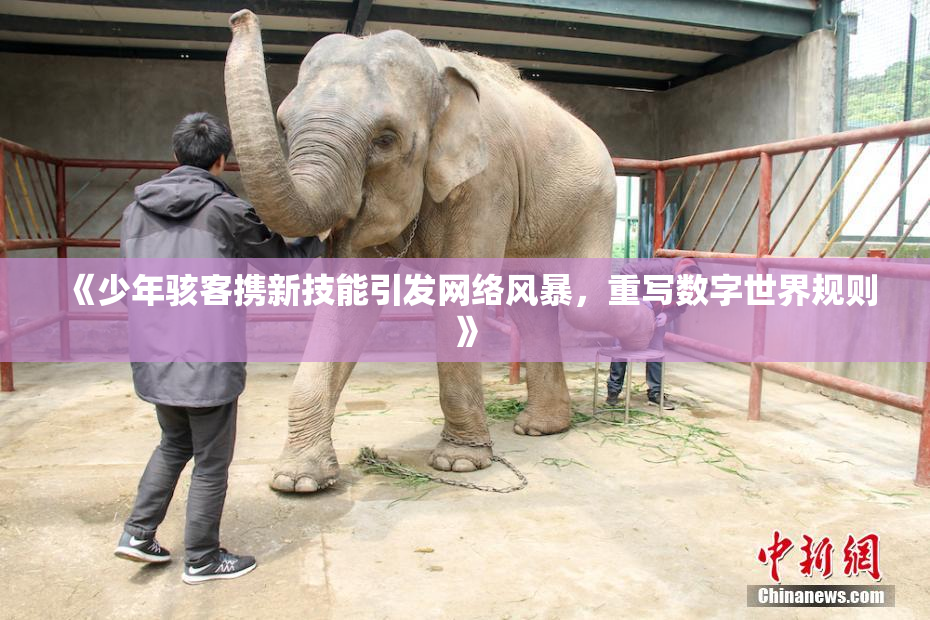 《少年骇客携新技能引发网络风暴，重写数字世界规则》