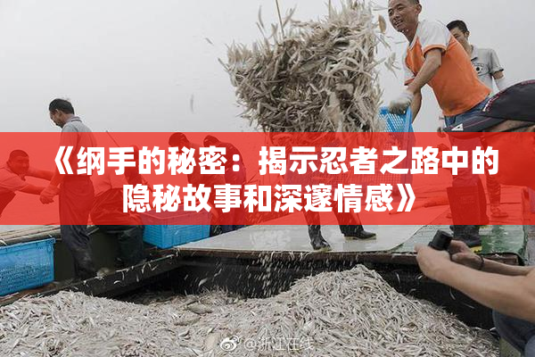 《纲手的秘密：揭示忍者之路中的隐秘故事和深邃情感》