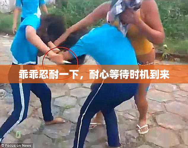 乖乖忍耐一下，耐心等待时机到来