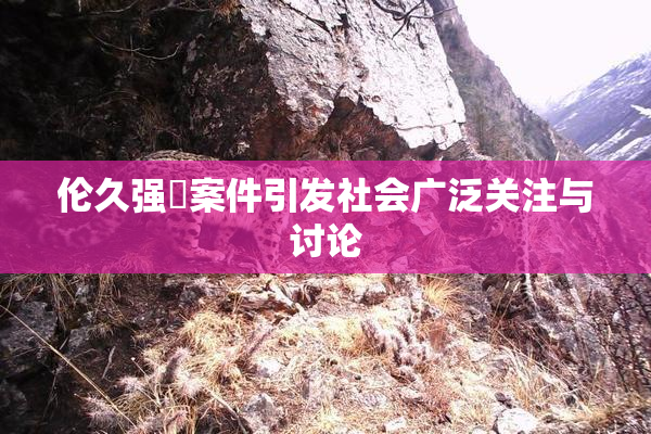 伦久强姧案件引发社会广泛关注与讨论
