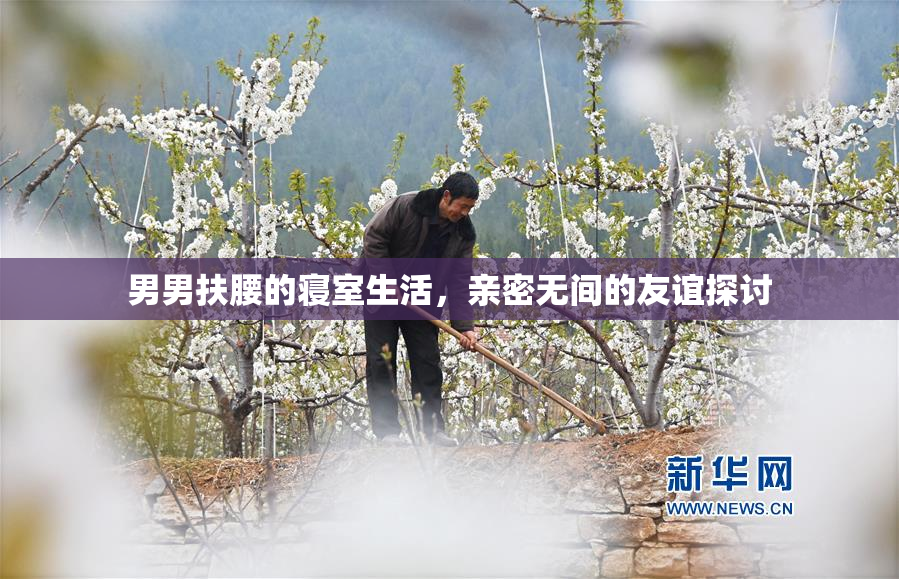 男男扶腰的寝室生活，亲密无间的友谊探讨