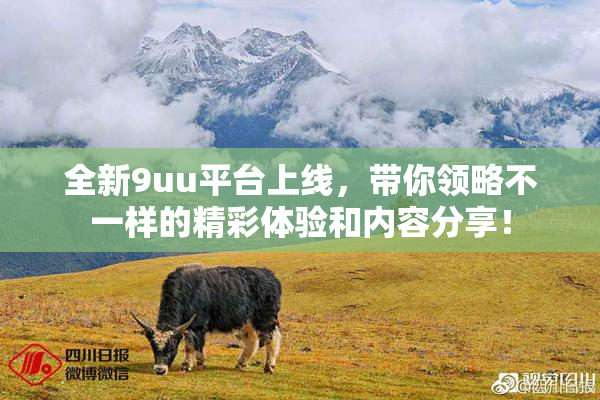 全新9uu平台上线，带你领略不一样的精彩体验和内容分享！