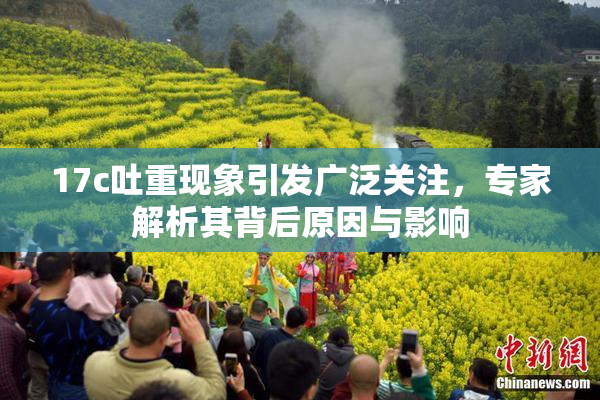 17c吐重现象引发广泛关注，专家解析其背后原因与影响