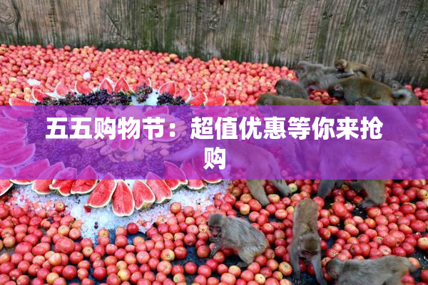 五五购物节：超值优惠等你来抢购