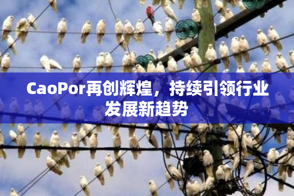 CaoPor再创辉煌，持续引领行业发展新趋势