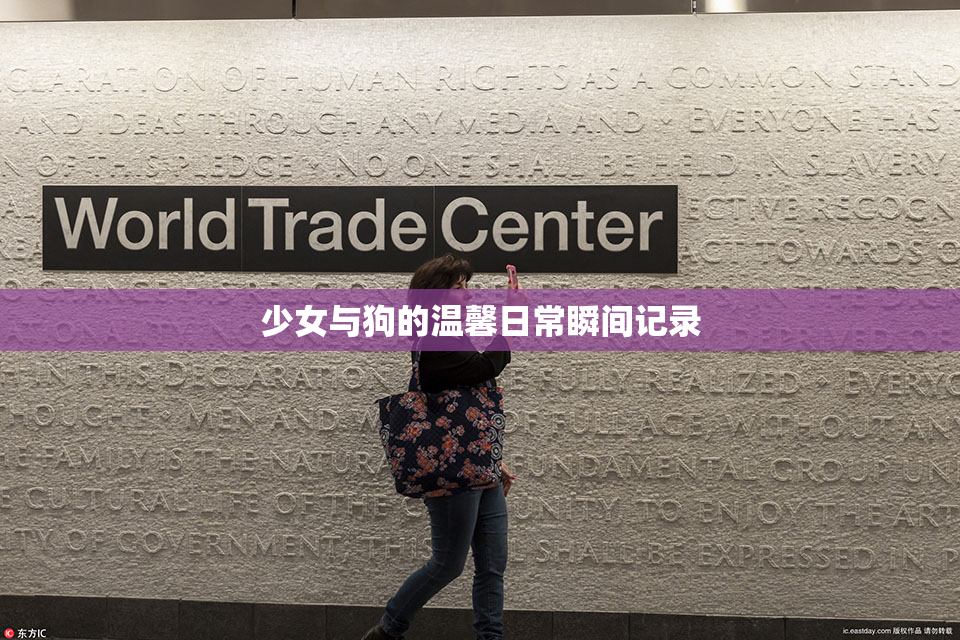少女与狗的温馨日常瞬间记录