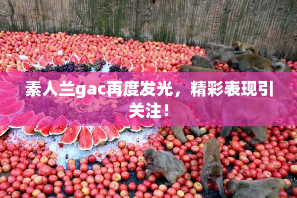 素人兰gac再度发光，精彩表现引关注！