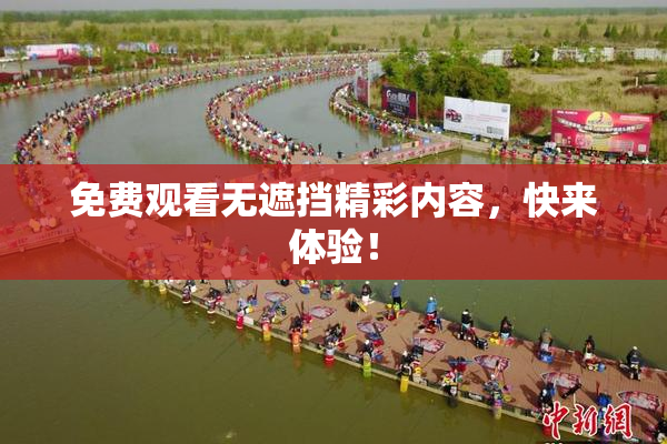 免费观看无遮挡精彩内容，快来体验！
