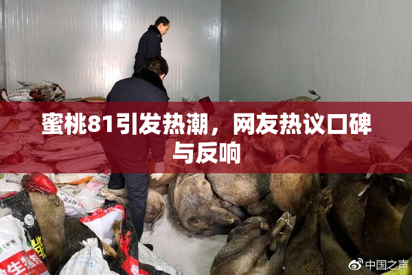 蜜桃81引发热潮，网友热议口碑与反响