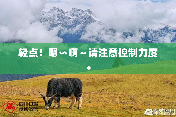 轻点！嗯∽啊～请注意控制力度。
