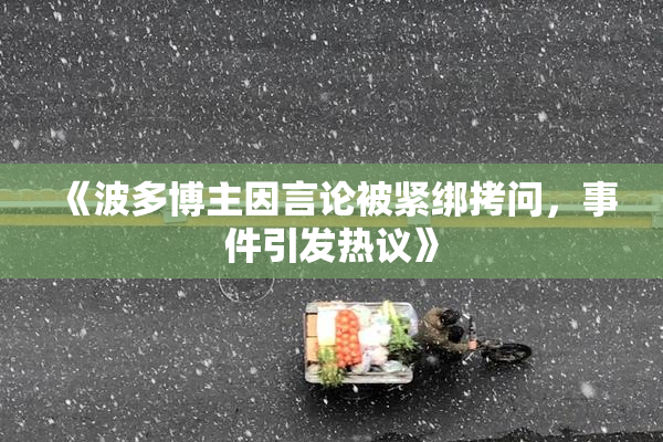 《波多博主因言论被紧绑拷问，事件引发热议》