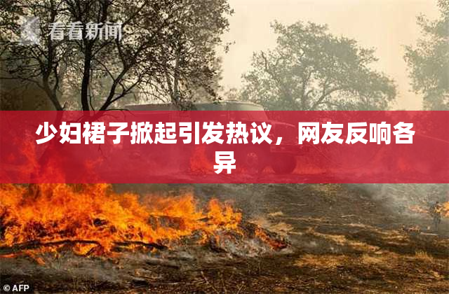 少妇裙子掀起引发热议，网友反响各异