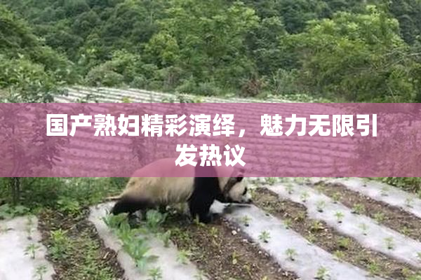 国产熟妇精彩演绎，魅力无限引发热议