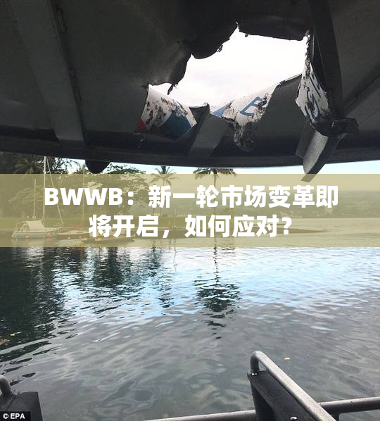 BWWB：新一轮市场变革即将开启，如何应对？