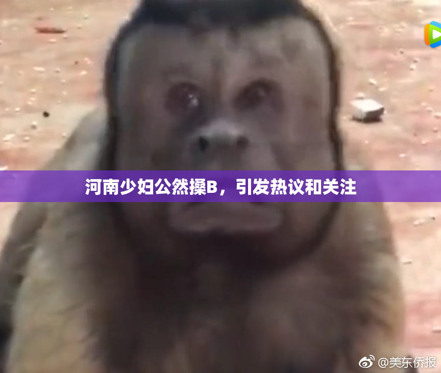 河南少妇公然搡B，引发热议和关注