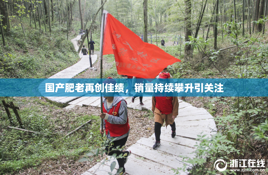 国产肥老再创佳绩，销量持续攀升引关注