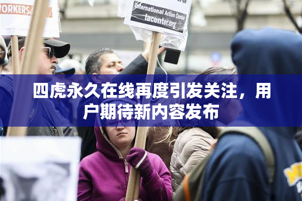 四虎永久在线再度引发关注，用户期待新内容发布