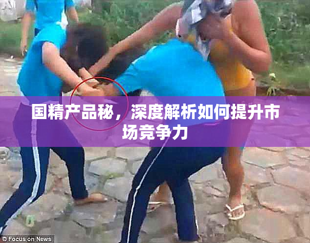 国精产品秘，深度解析如何提升市场竞争力