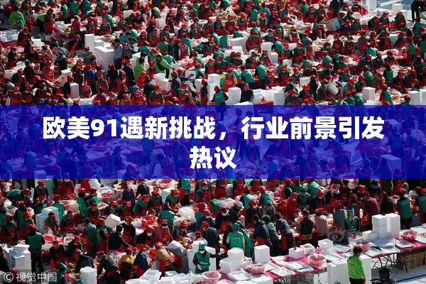 欧美91遇新挑战，行业前景引发热议