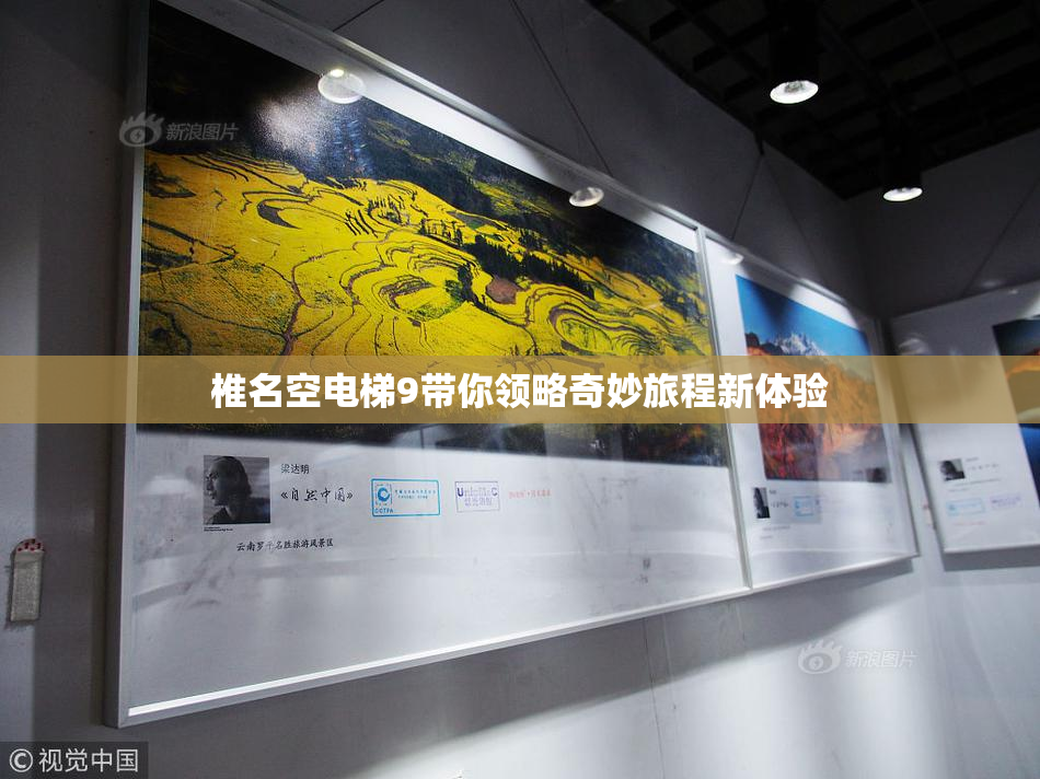 椎名空电梯9带你领略奇妙旅程新体验