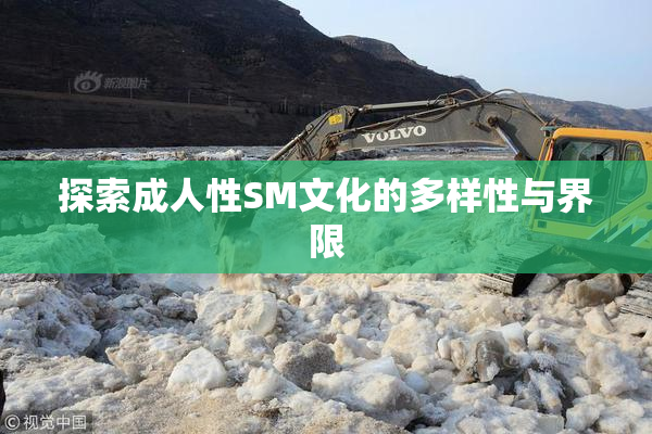 探索成人性SM文化的多样性与界限