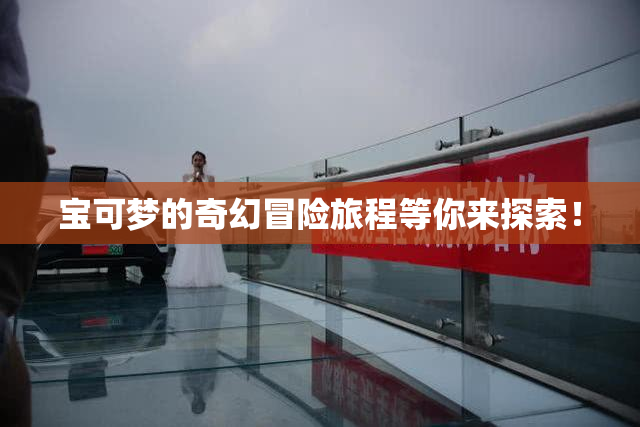 宝可梦的奇幻冒险旅程等你来探索！
