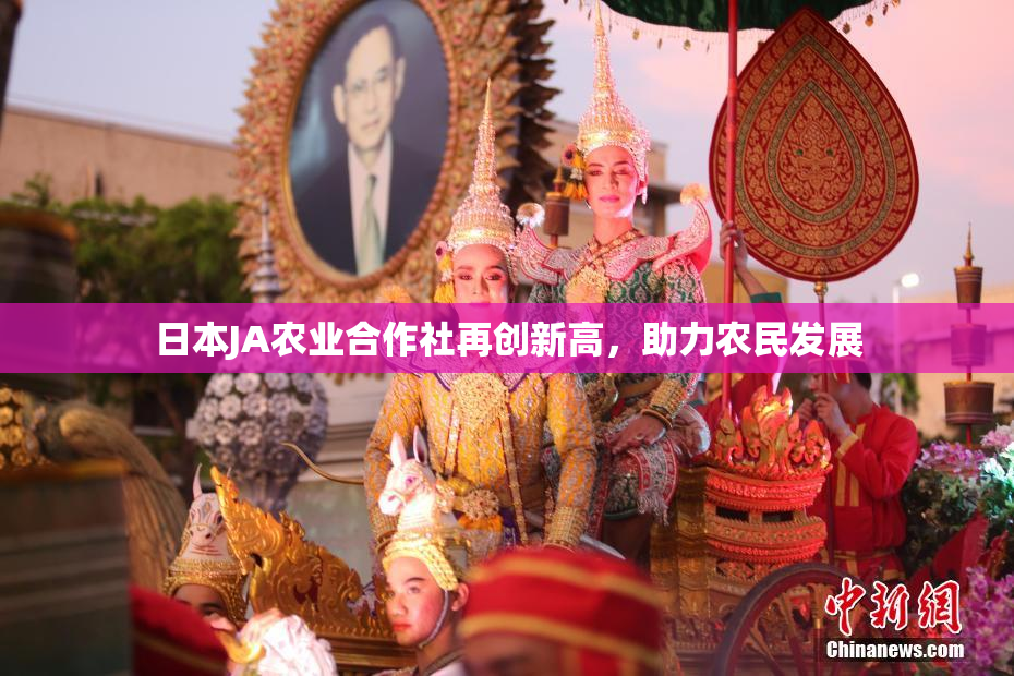 日本JA农业合作社再创新高，助力农民发展