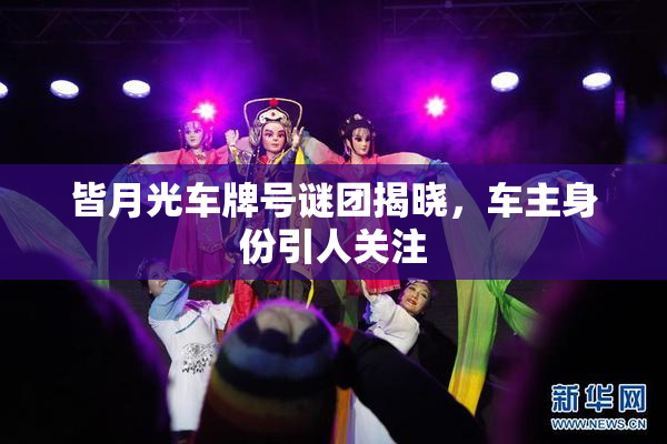 皆月光车牌号谜团揭晓，车主身份引人关注