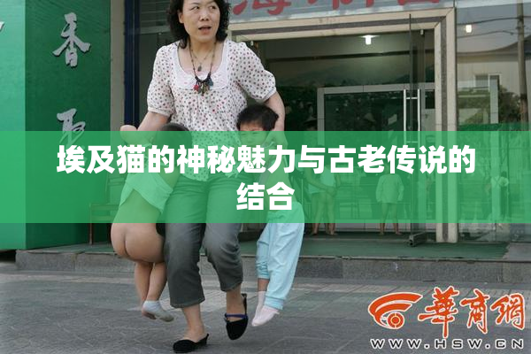埃及猫的神秘魅力与古老传说的结合