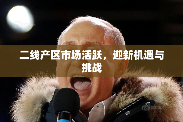 二线产区市场活跃，迎新机遇与挑战