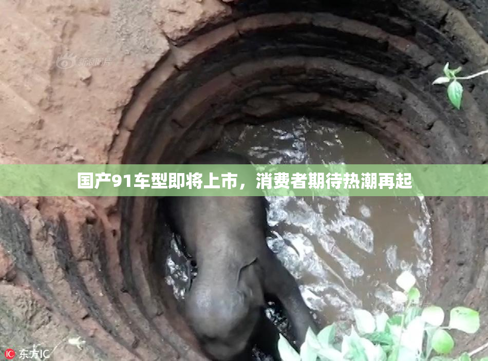 国产91车型即将上市，消费者期待热潮再起