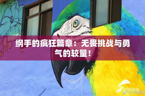 纲手的疯狂篇章：无畏挑战与勇气的较量！