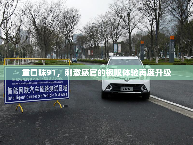 重口味91，刺激感官的极限体验再度升级